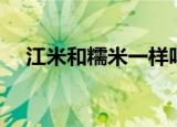 江米和糯米一样吗（江米和糯米的区别）