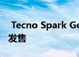  Tecno Spark Go 2020将通过Flipkart独家发售