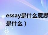 essay是什么意思中文（essay是的中文意思是什么）