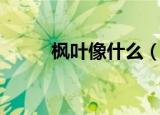 枫叶像什么（有关枫叶的比喻句）