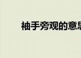 袖手旁观的意思是什么（袖手成嚣）