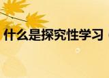 什么是探究性学习（简述什么是探究性学习）