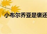 小布尔乔亚是褒还是贬（小布尔乔亚情调）