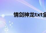 情剑神龙txt全集下载（情剑神龙）