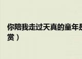 你陪我走过天真的童年是什么歌（歌曲兄弟再干一杯歌词欣赏）