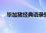 毕加猪经典语录壁纸（毕加猪经典语录）