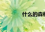 什么的森林（森林的介绍）
