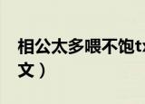 相公太多喂不饱txt下载（相公太多喂不饱全文）