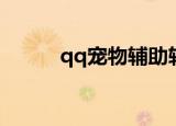 qq宠物辅助软件（qq宠物辅助）