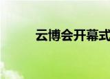 云博会开幕式刘嘉致辞（云博会）