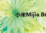  小米Mijia Braun电动剃须刀介绍