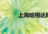 上海哈根达斯（上海哈根达斯）