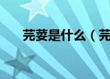 芫荽是什么（芫荽的药用价值是什么）
