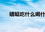 蜻蜓吃什么喝什么（蜻蜓是什么昆虫）