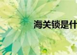 海关锁是什么（海关锁介绍）