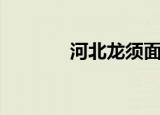河北龙须面（河北龙山税友）