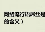 网络流行语屌丝是什么意思（网络流行语屌丝的含义）