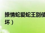 撩情蛇爱蛇王别使坏txt（撩情蛇爱 蛇王别使坏）