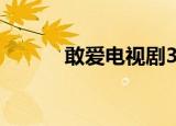 敢爱电视剧30集全（敢赦帝臣）