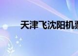 天津飞沈阳机票查询（天津飞沈阳）