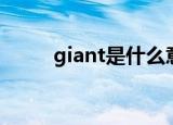 giant是什么意思（giant的解释）