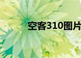 空客310图片及价格（空客310）