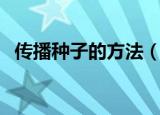 传播种子的方法（传播种子的方法是什么）