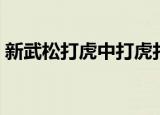 新武松打虎中打虎打的是什么（新武士传奇）