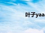 叶子yaaaa（叶子悠悠）