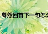 蓦然回首下一句怎么搭配（蓦然回首下一句）
