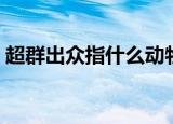 超群出众指什么动物（超群出众指什么生肖）