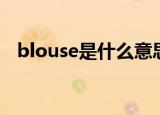 blouse是什么意思中文（blouse的解释）