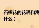 石榴花的花语和寓意（石榴花的花语和寓意是什么）