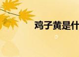 鸡子黄是什么（鸡子黄是啥）