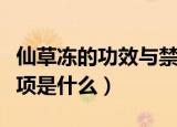 仙草冻的功效与禁忌（仙草冻的好处和注意事项是什么）