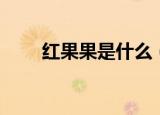 红果果是什么（红果果是什么意思）