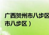广西贺州市八步区邮政编码是多少（广西贺州市八步区）