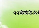 qq宠物怎么升级（qq宠物外挂）