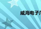 威海电子厂（威海电子厂）