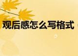 观后感怎么写格式（观后感的写作格式说明）