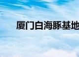 厦门白海豚基地（厦门白海豚音乐节）