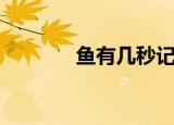 鱼有几秒记忆（鱼有耳朵吗）