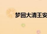 梦回大清王安宇（梦回大清游戏）