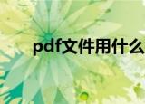 pdf文件用什么打开（打开方法介绍）