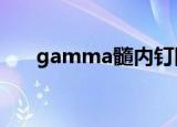 gamma髓内钉图片（gammasutra）