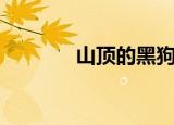 山顶的黑狗兄（山顶的拼音）
