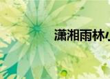 潇湘雨林小说（潇湘雨林）