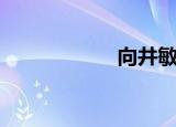 向井敏（向井阳太）