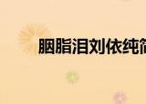 胭脂泪刘依纯简谱（胭脂泪刘依纯）