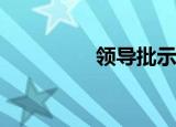 领导批示图片（领导ps）